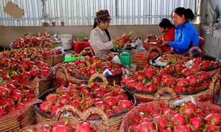 Đồng bằng sông Cửu Long sẵn sàng hội nhập