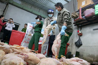 Nói không với thực phẩm  bẩn