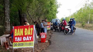 Nghiên cứu 'Vaccine ngừa sốt giá đất'