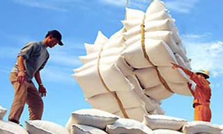 Khẩn trương xây dựng chiến lược xuất khẩu gạo