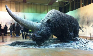 Phát hiện kỳ lân thật ngoài đời