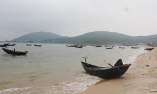 Hà Tĩnh lập hội đồng đánh giá thiệt hại do sự cố cá chết