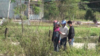 Hỗn loạn cò đất