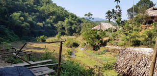 Ốc đảo trên đỉnh Bù Bằng