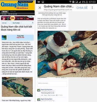Xử lý nghiêm trang mạng đưa thông tin về ‘nàng tiên cá’