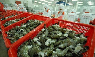 Nâng tầm con tôm