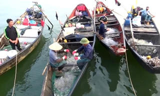 Ấm áp tình người