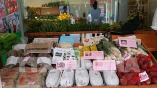 Bình chọn 'Hàng Việt Nam được người tiêu dùng yêu thích' năm 2016