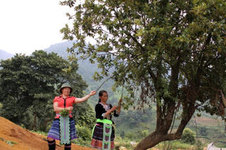 Ngọn lửa hồng trên đỉnh Pha Đin