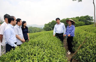 Tín dụng cho sản xuất công nghệ cao: Tăng hiệu quả chuỗi liên kết nông nghiệp