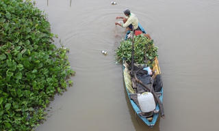 Nông dân điêu đứng vì nạn 'khai thác hủy diệt'