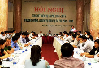 Năm thứ 3 liên tiếp cà phê Đắk Lắk giảm năng suất, sản lượng