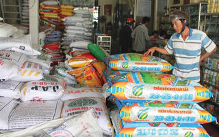 Đâu là nguyên nhân giá phân bón tăng cao?