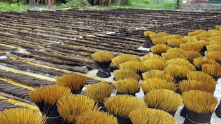 Ấn Độ đột ngột hạn chế nhập khẩu hương nhang: Nguy cơ hàng ngàn lao động thất nghiệp