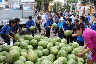 Giải cứu nông sản