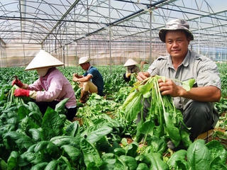 Đơn giản thủ tục hành chính, tạo thuận lợi cho doanh nghiệp