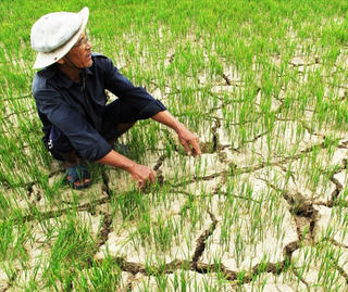 Ứng phó với biến đổi khí hậu: Đẩy mạnh áp dụng công nghệ