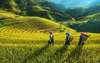 Liên kết phát triển du lịch Tây Bắc