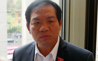 Dừng dự án điện hạt nhân vì lo ngại có thể có một Formosa khác