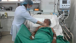 Ăn cá nóc, một bệnh nhân suýt mất mạng