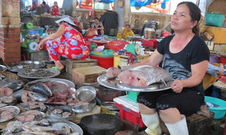 Thợ lặn bị nhiễm độc kim loại nặng