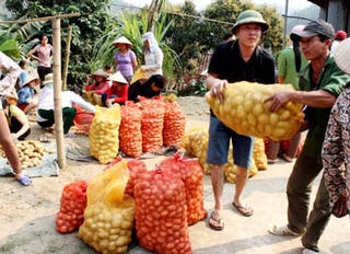 Bắc Kạn: Mở rộng quy mô trong sản xuất nông - lâm - ngư nghiệp và dịch vụ
