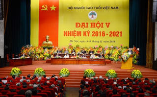 Xứng danh cây cao, bóng cả