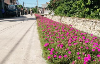 Khơi dậy sức mạnh cộng đồng