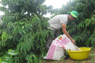 Giá phân bón 'leo thang'