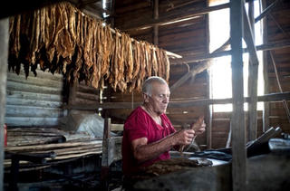 Theo dấu Cigar ở Cuba
