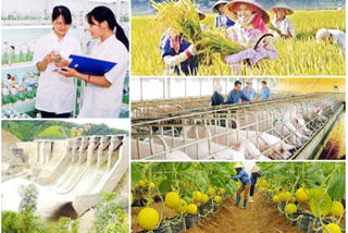 Bộ LĐTB&XH được giao ngân sách nhiều nhất để thực hiện các chương trình mục tiêu quốc gia