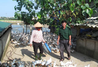 Trăn trở thoát nghèo của một giáo dân