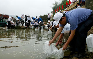 Quảng Ngãi: Tăng cường bảo vệ và phát triển nguồn lợi thủy sản