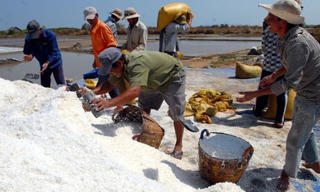 Mua muối tạm trữ, cũng lại sai phạm