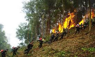 Thanh Hóa: Tăng cường các biện pháp phòng, chống cháy rừng
