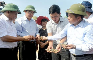 Chủ tịch Nguyễn Thiện Nhân: Tìm được nhiều mô hình để tự tin phát triển HTX kiểu mới