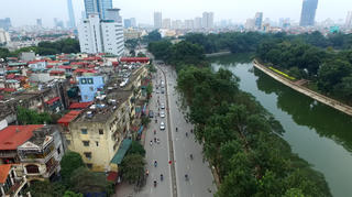 Hà Nội cân nhắc thay thế hơn 4.000 cây xà cừ trong nội thành