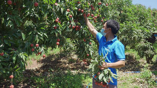 Hàng triệu nông hộ sẽ được ‘số hóa’