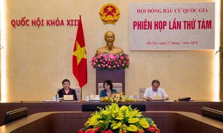 Doanh nhân Nguyệt Hường không đủ tiêu chuẩn ĐBQH Khóa XIV