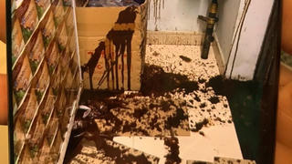 Truy tìm nhóm côn đồ ném chất bẩn, đập phá hiệu thuốc tại Hà Nội