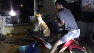 Nước lũ và bùn tràn vào nhà dân tại TP Lào Cai