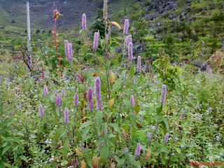 Quà lạ Hà Giang