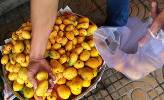 Xoài hạt lép ế ẩm