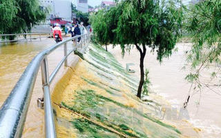 Vùng núi phía Bắc đề phòng mưa dông, tố lốc từ đêm nay