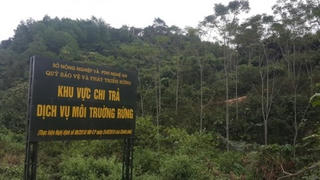 Gần 55 tỷ đồng chi trả dịch vụ môi trường rừng