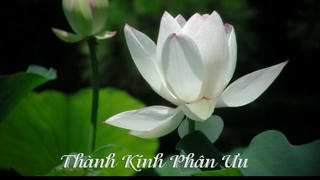 Lời chia buồn