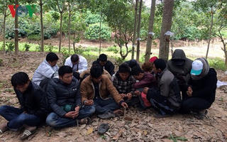 Vây bắt ổ bạc trong rẫy, thu giữ gần 300 triệu đồng