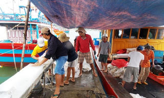Rộn ràng ra khơi đánh bắt hải sản đầu năm