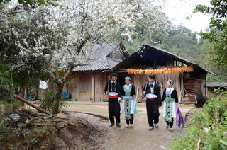 Bình yên Lai Châu