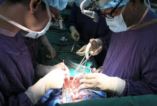 Kỷ lục 13 ngày ghép thành công 23 tạng